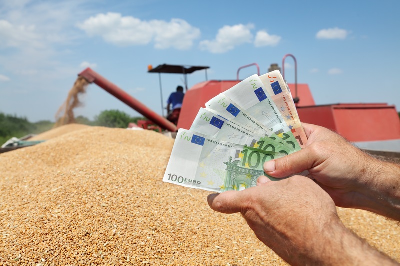 APIA: Bani europeni la fermieri, avansul subvențiilor curând