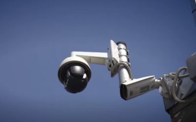 Polițiștii, la ușă la 4 dimineața, din vina AI
