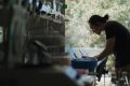 IA, BĂTĂTOR DE JOC: Cum a fost supusă inteligența artificială la tortură online