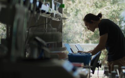 IA, BĂTĂTOR DE JOC: Cum a fost supusă inteligența artificială la tortură online