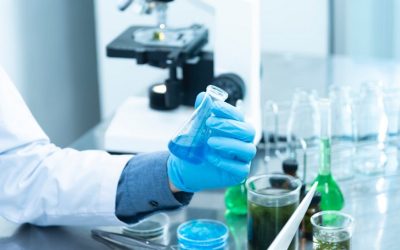 USR, indemnizație pentru însoțitori oncologi. Bani, însă, de negăsit