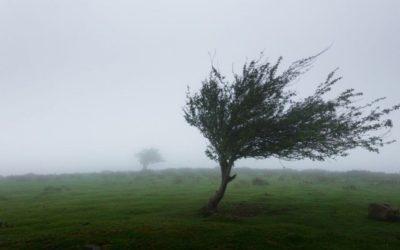 Cod galben: Ploi și vânt puternic, noi alerte meteo imediate