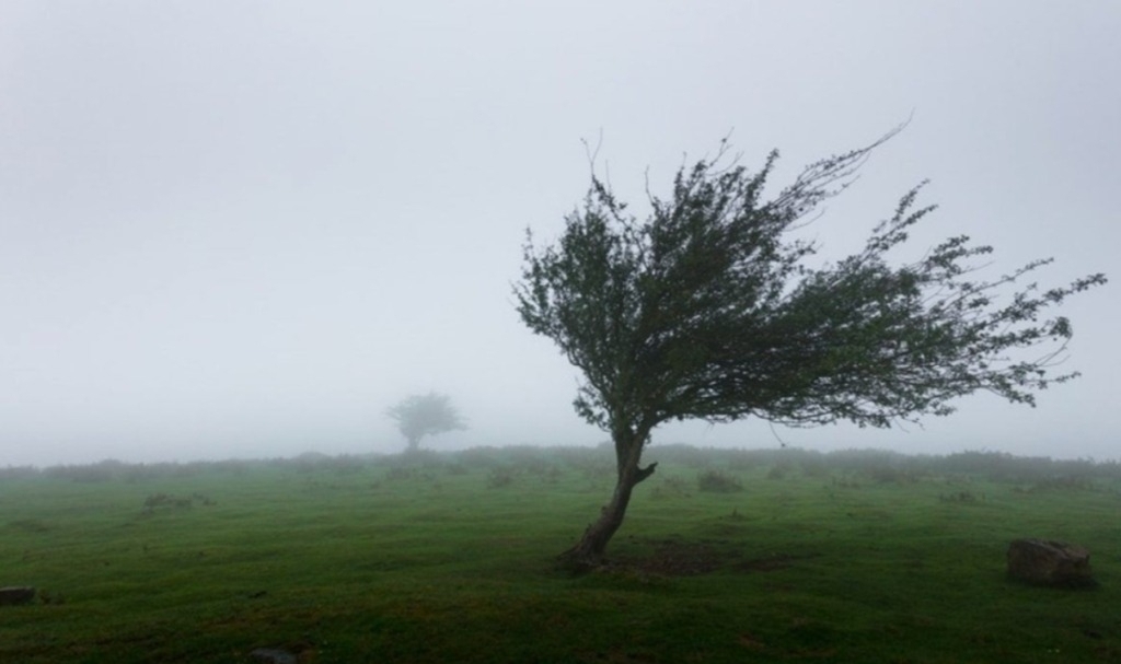Cod galben: Ploi și vânt puternic, noi alerte meteo imediate