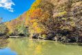 Ploi în sud: Prognoza meteo dezvăluie vești pentru patru săptămâni