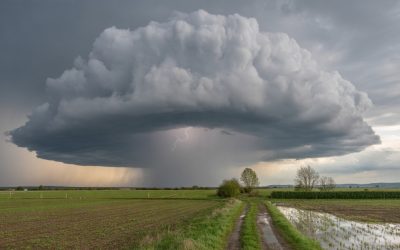 România: Viscol și ger aspru săptămâna aceasta